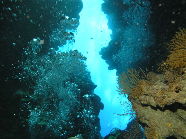 p1250824.jpg