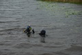 dsc_0104.jpg