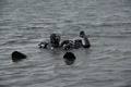 dsc_0107.jpg