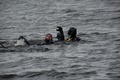 dsc_0119.jpg
