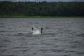 dsc_0125.jpg