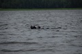 dsc_0157.jpg