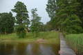 dsc_0251.jpg